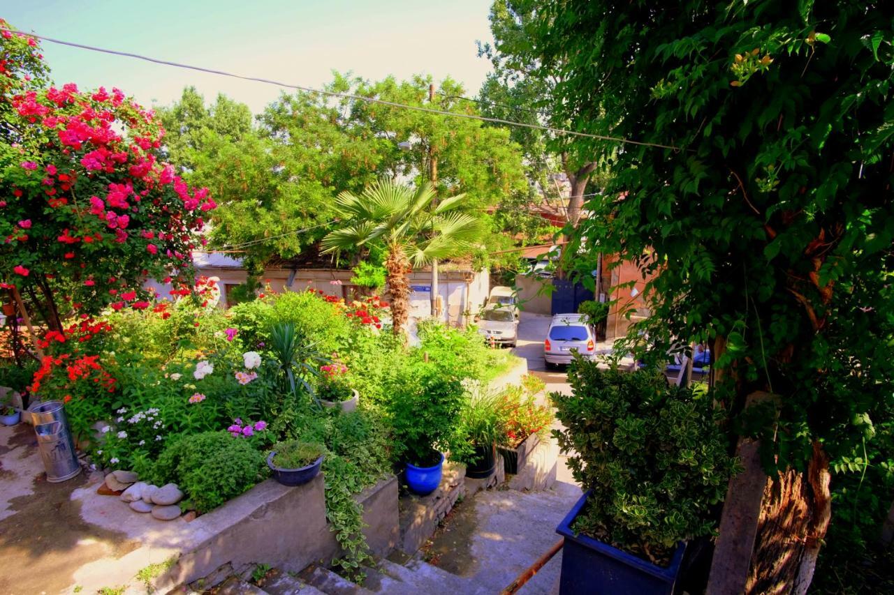 טביליסי Guest House Gege מראה חיצוני תמונה